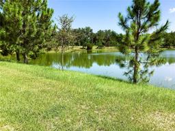 Picture of 345 SW Silver Palm Drive, Lake City, FL 32024