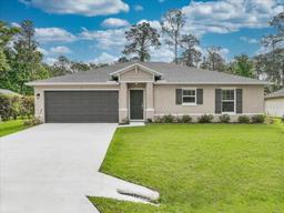 Picture of 22 Londonderry Drive, Palm Coast, FL 32137