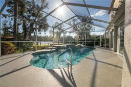 Picture of 732 June Lake Lane, Brandon, FL 33510