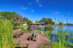 Picture of 3046 Lake Padgett Drive, Land O Lakes, FL 34639