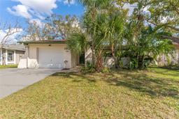 Picture of 13815 Capitol Drive, Tampa, FL 33613