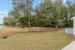 Picture of 19101 NW 226Th Terrace, High Springs, FL 32643