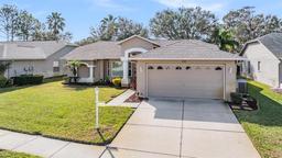 Picture of 11018 Courtland Street, Trinity, FL 34655