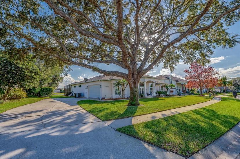 Picture of 6071 Sabal Hammock Circle, Port Orange FL 32128