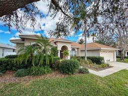 Picture of 8545 Orsi Court, Trinity, FL 34655