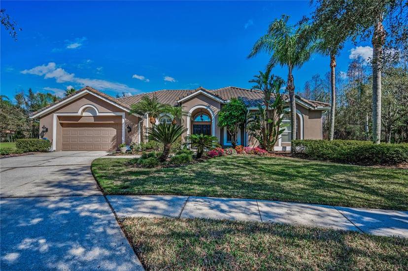 Picture of 9101 Highland Ridge Way, Tampa FL 33647