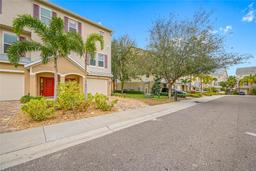 Picture of 876 Callista Cay Loop, Tarpon Springs, FL 34689