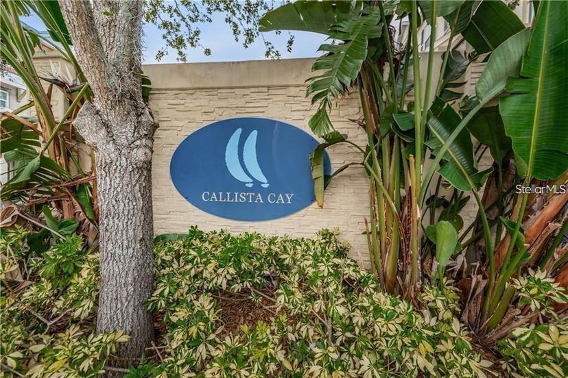 Picture of 876 Callista Cay Loop, Tarpon Springs FL 34689