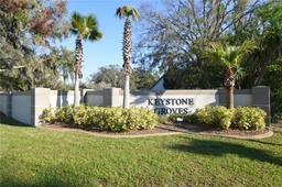 Picture of 18405 Keystone Grove Boulevard, Odessa, FL 33556