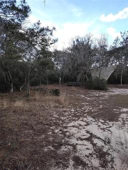 Picture of 15946 NE 234Th Lane, Fort Mc Coy, FL 32134