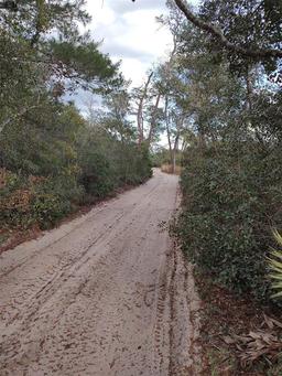 Picture of 15946 NE 234Th Lane, Fort Mc Coy, FL 32134