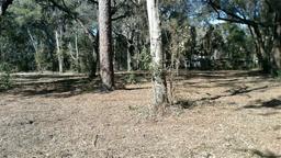 Picture of 1605 SE 24Th Street, Gainesville, FL 32641