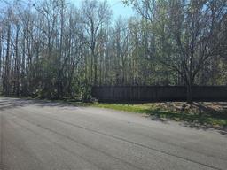 Picture of 3801 Bramblewood Boulevard, Land O Lakes, FL 34639