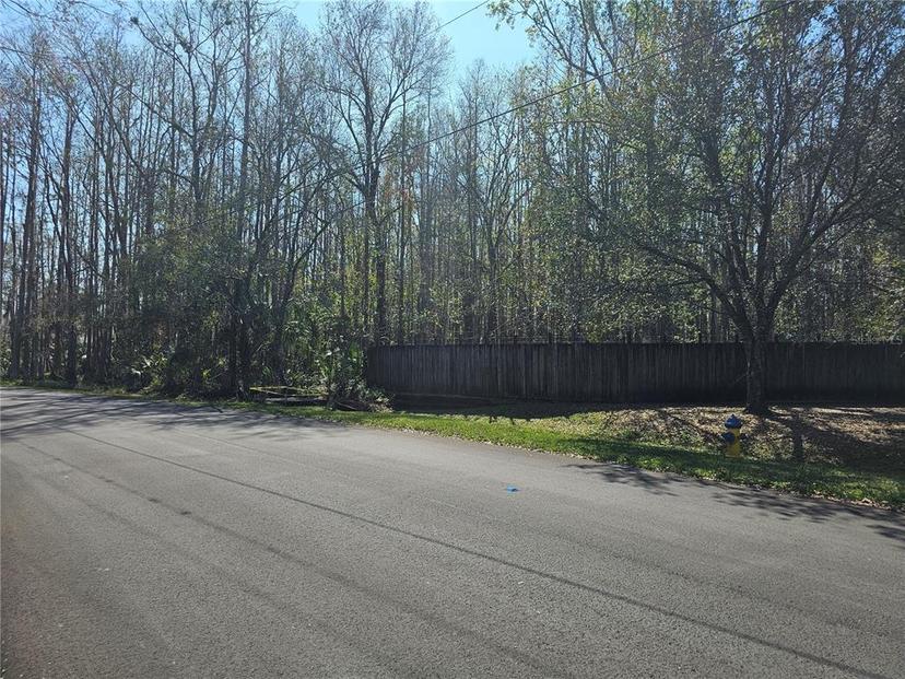 Picture of 3801 Bramblewood Boulevard, Land O Lakes FL 34639