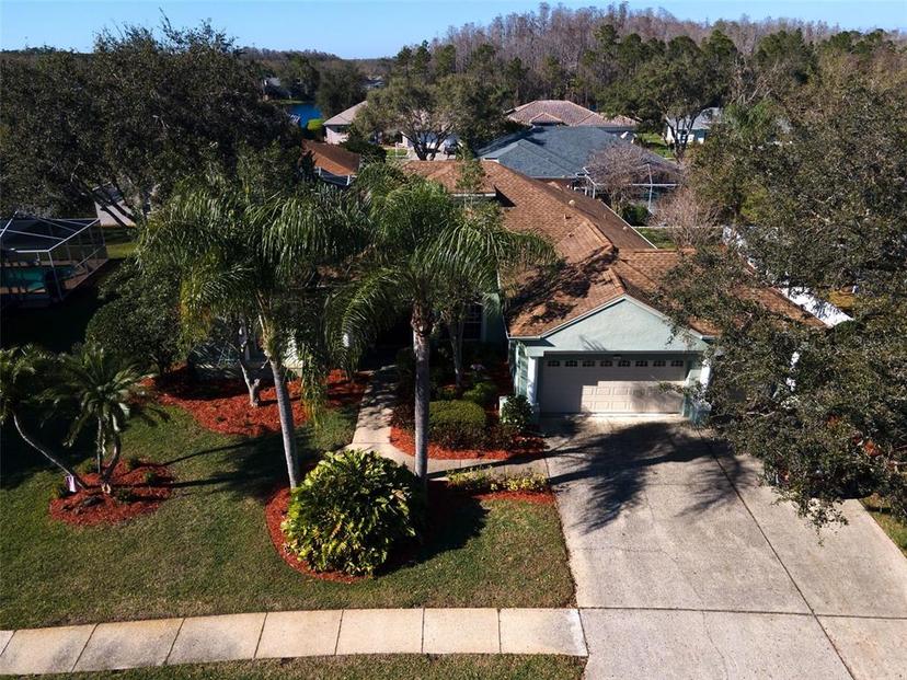 Picture of 5501 Stag Thicket Lane, Palm Harbor FL 34685