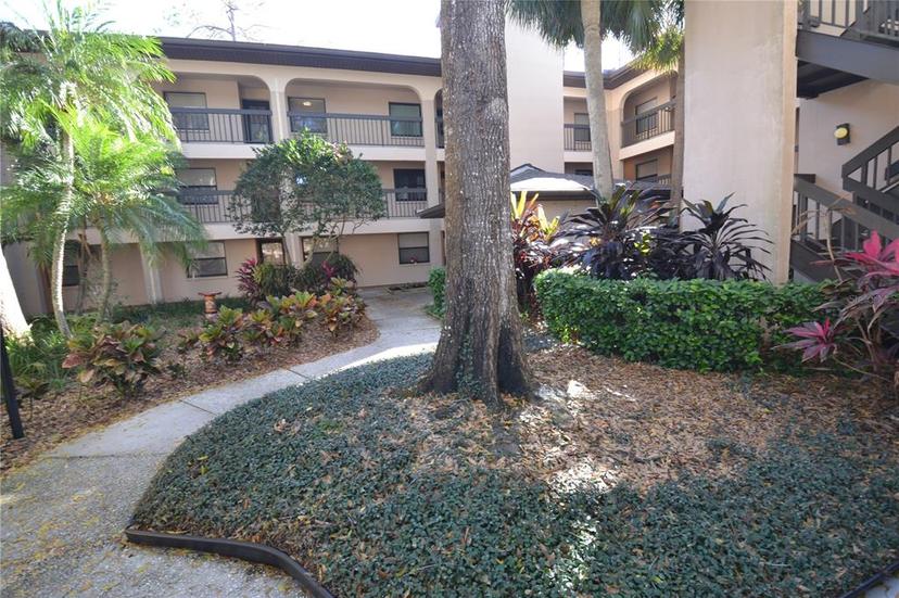 Picture of 3399 Mermoor Drive Unit 110, Palm Harbor FL 34685