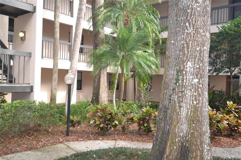 Picture of 3399 Mermoor Drive Unit 110, Palm Harbor FL 34685