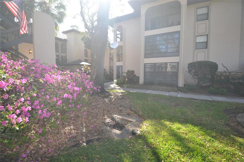 Picture of 3399 Mermoor Drive Unit 110, Palm Harbor FL 34685