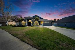 Picture of 18507 Country Crest Place, Tampa, FL 33647