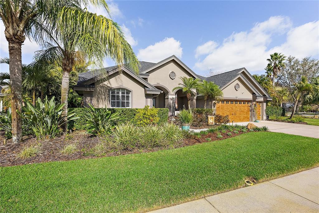 Picture of 2981 Northfield Drive, Tarpon Springs, FL 34688