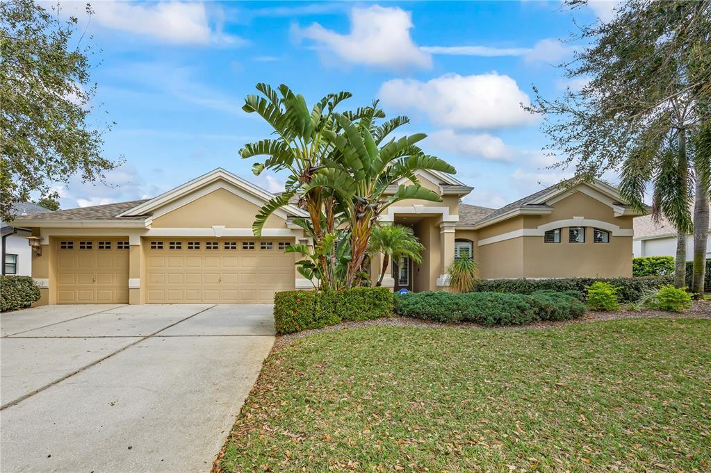 Picture of 3675 Janus Way, Palm Harbor, FL 34685