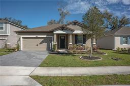 Picture of 899 Asterfield Lane, Deland, FL 32720