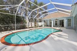 Picture of 4442 Clairson Court, Palm Harbor, FL 34685