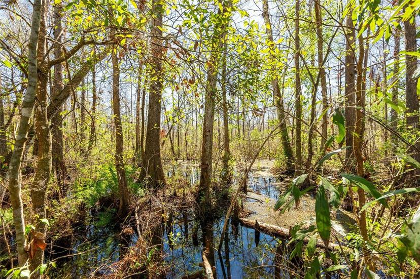 Picture of 14910 Sr 471, Webster FL 33597