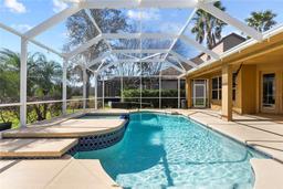 Picture of 19238 Climbing Aster Drive, Tampa, FL 33647