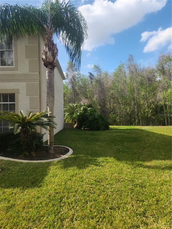 Picture of 1337 Caladesi Drive, Wesley Chapel FL 33544