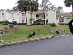 Picture of 8055 Picketts Court Unit 1, Weeki Wachee, FL 34613