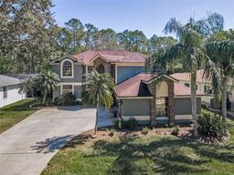 Picture of 2075 Warwick Drive, Oldsmar, FL 34677