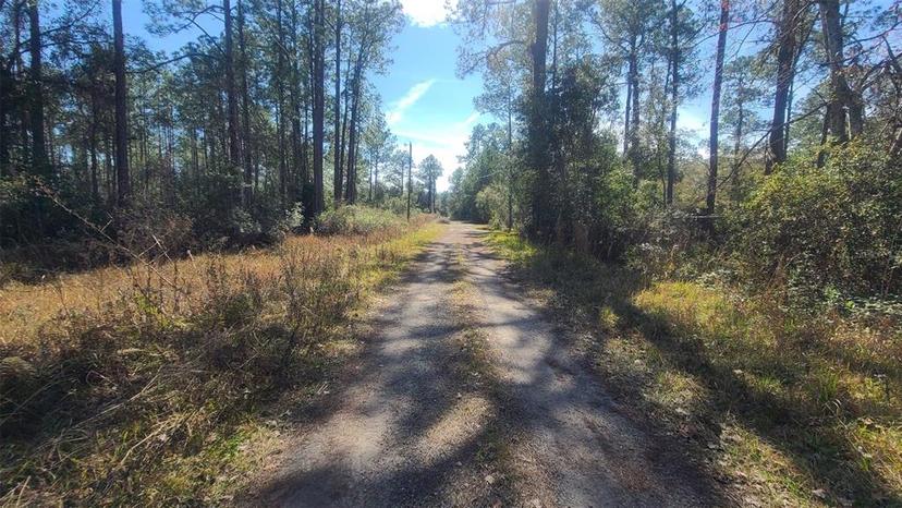 Picture of 13395 NE 65Th Court, Citra FL 32113