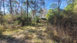 Picture of 13395 NE 65Th Court, Citra, FL 32113