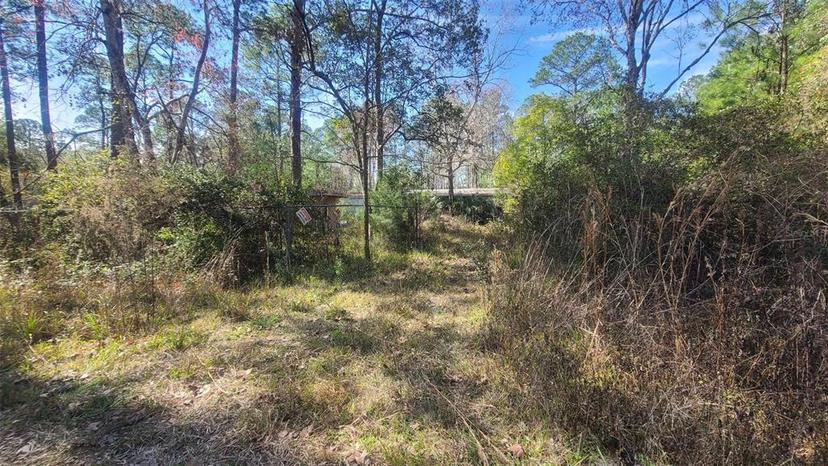 Picture of 13395 NE 65Th Court, Citra FL 32113