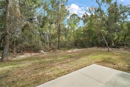 Picture of 35 Sequoia Loop Ct, Ocklawaha, FL 32179