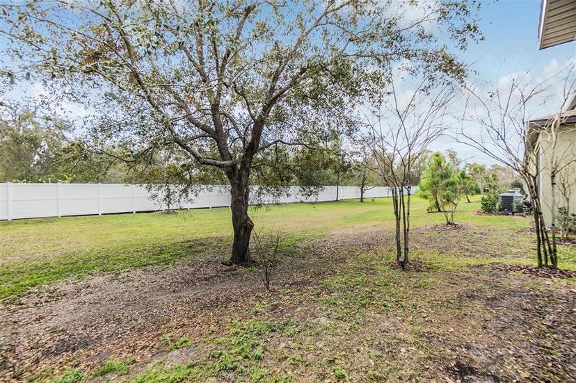 Picture of 21404 Darter Road, Land O Lakes FL 34638