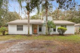 Picture of 749 Cassadaga Road, Lake Helen, FL 32744