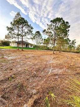 Picture of 316 Moore Avenue, Lehigh Acres, FL 33936