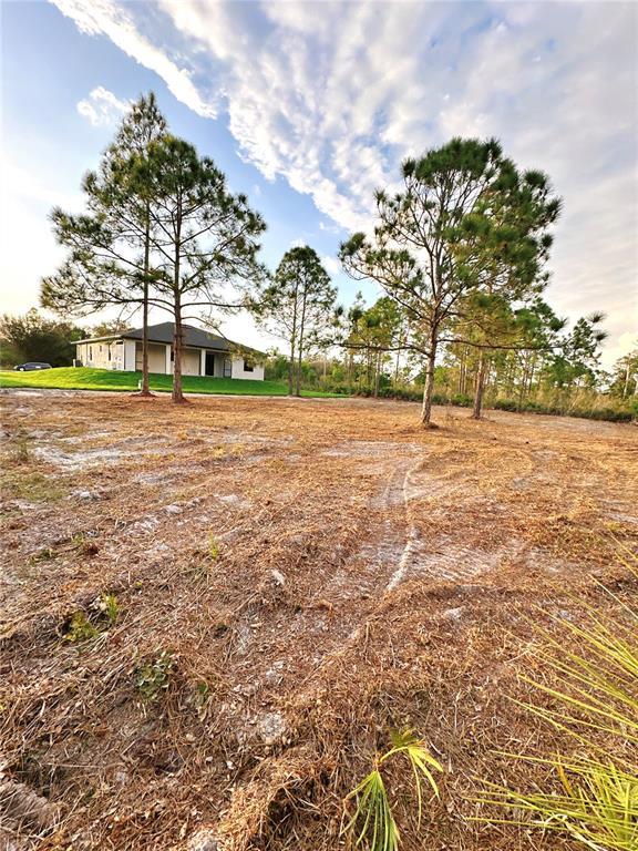 Picture of 316 Moore Avenue, Lehigh Acres FL 33936