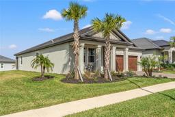 Picture of 10381 Tupper Cay Drive, San Antonio, FL 33576