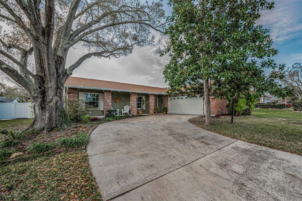 Picture of 3111 Teal Terrace, Safety Harbor, FL 34695