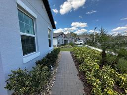 Picture of 16683 Shell Bay Drive, Land O Lakes, FL 34638