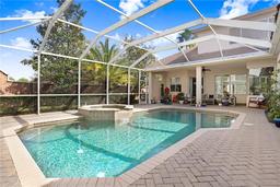 Picture of 3185 Burberry Street, Tarpon Springs, FL 34688