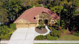 Picture of 2806 Grey Oaks Boulevard, Tarpon Springs, FL 34688