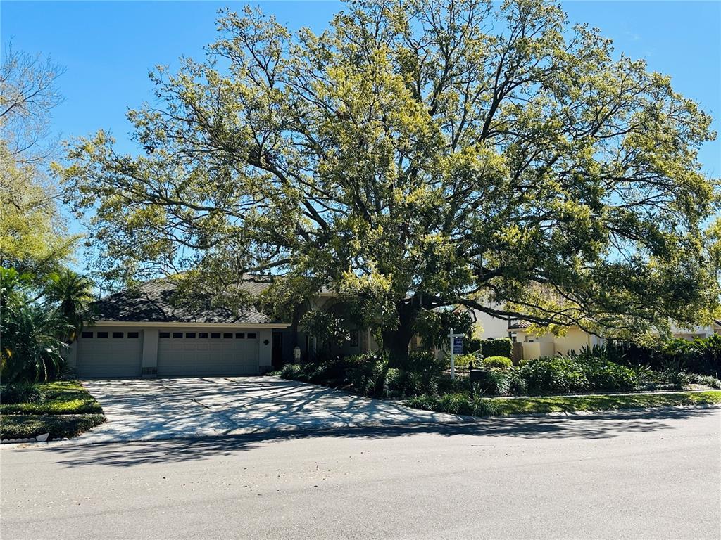 Picture of 16209 Belle Meade Boulevard, Odessa, FL 33556