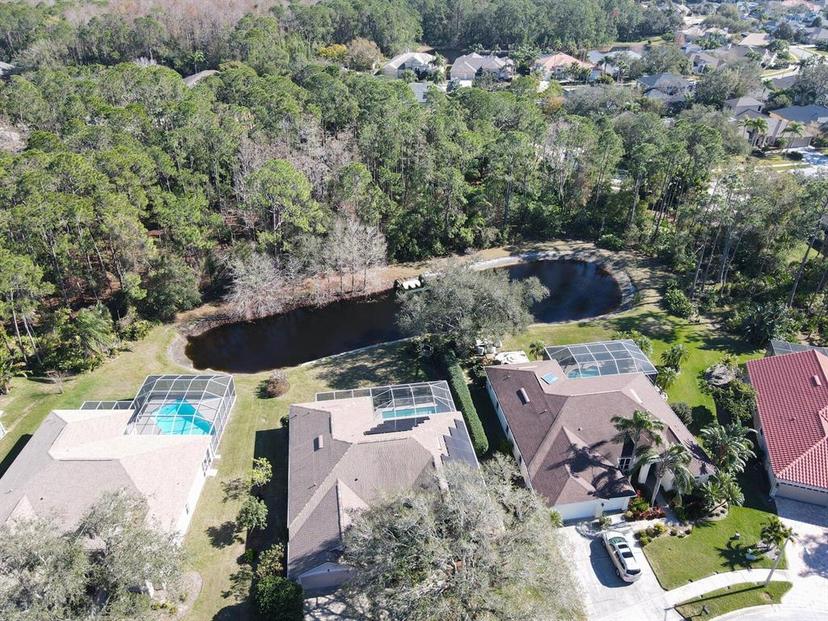 Picture of 3712 Pendlebury Drive, Palm Harbor FL 34685