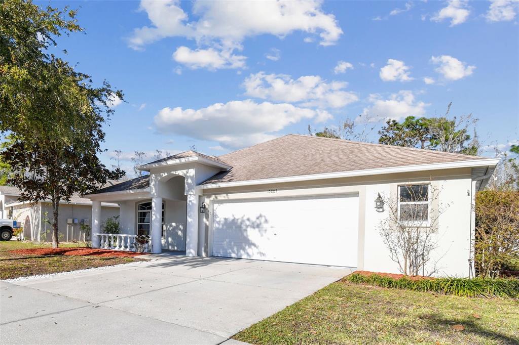 Picture of 15807 Leatherleaf Lane, Land O Lakes, FL 34638