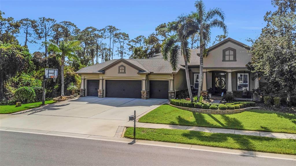 Picture of 3668 Janus Way, Palm Harbor, FL 34685