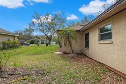 Picture of 2503 Withy Court, Tampa, FL 33618